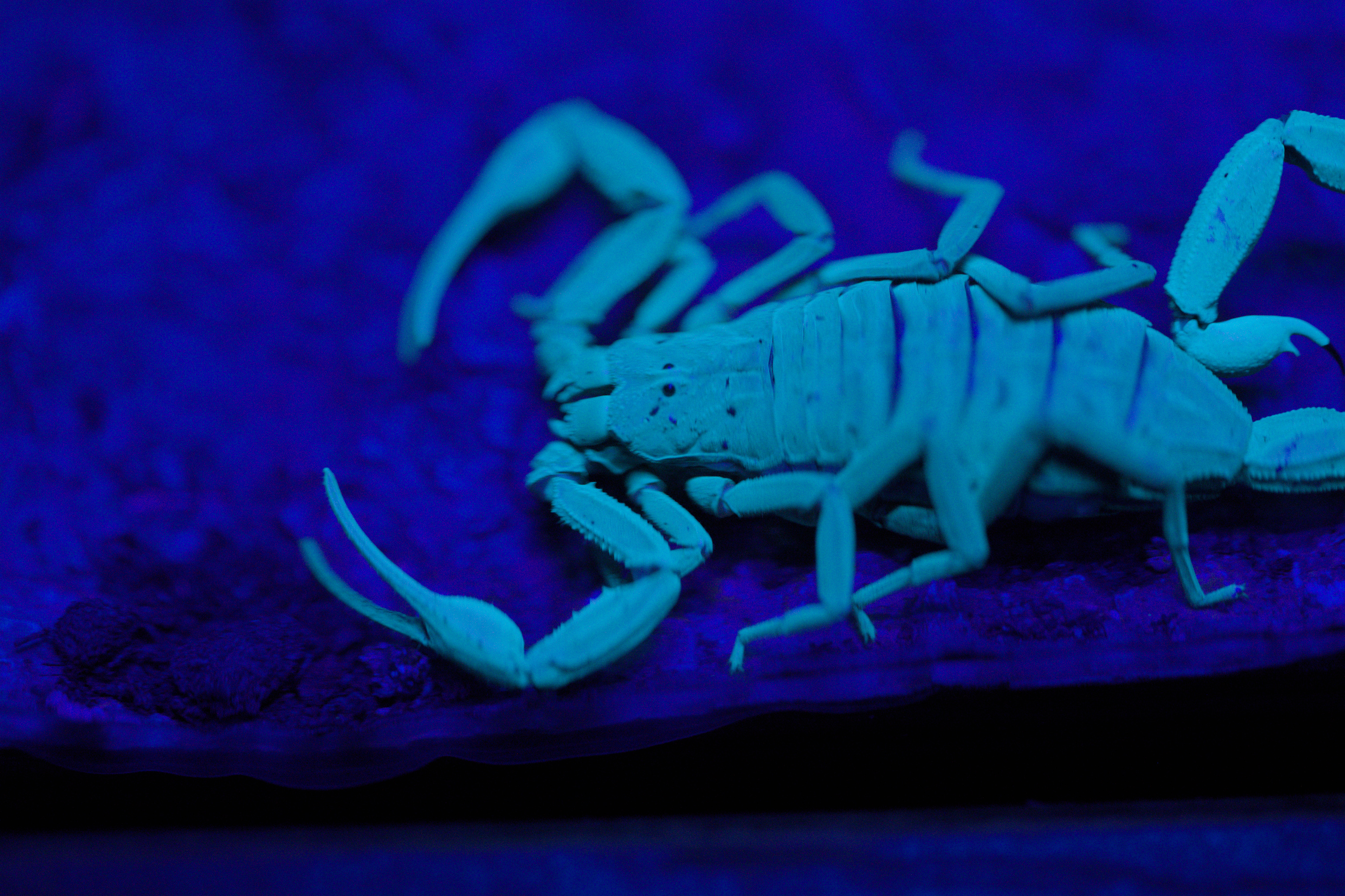 2025/10/12 - zoo/DSC_0268.jpg